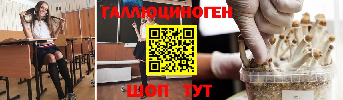 что такое   Псилоцибиновые грибы MAGIC MUSHROOMS  Лысьва  Вход с VPN  Псилоцибиновые грибы Psilocybine cubensis 